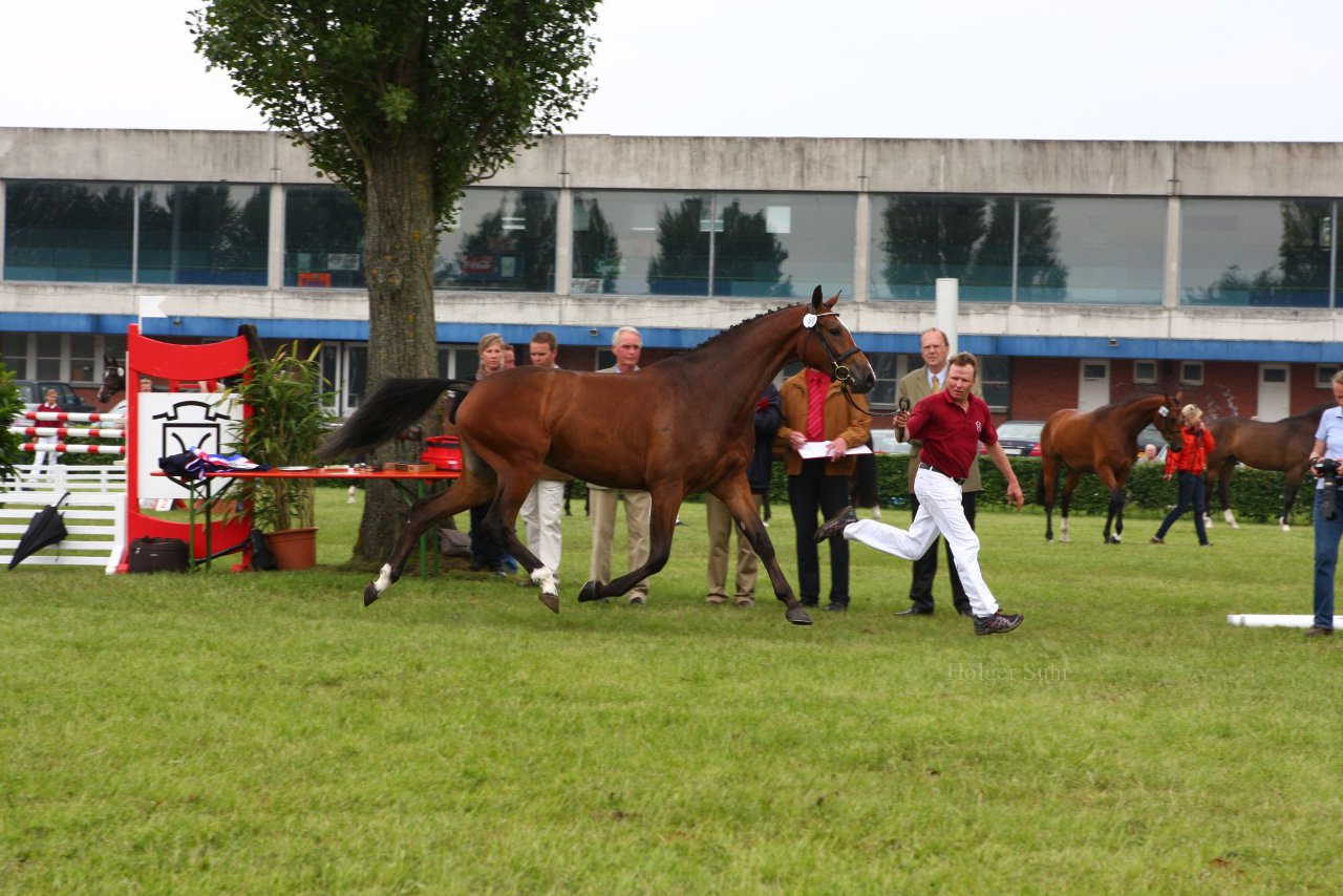 Bild 102 - Elmshorn am 9.6.10